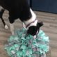 How to Make a Snuffle Mat