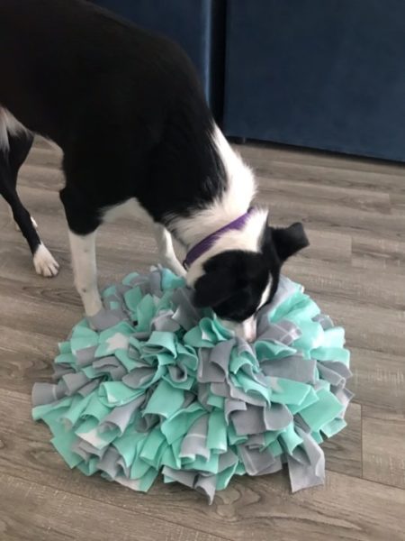How to Make a Snuffle Mat